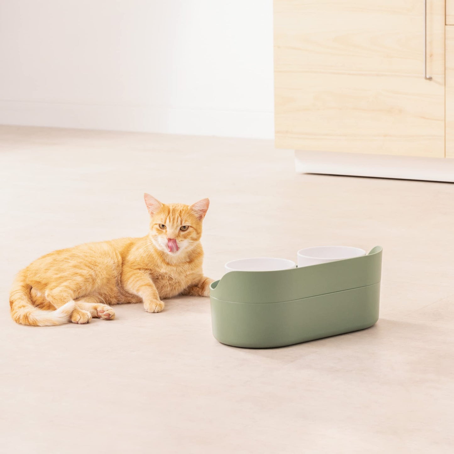 Set de Comederos Elevados Navaris Marrón con Tazones y Soporte para Perros y Gatos