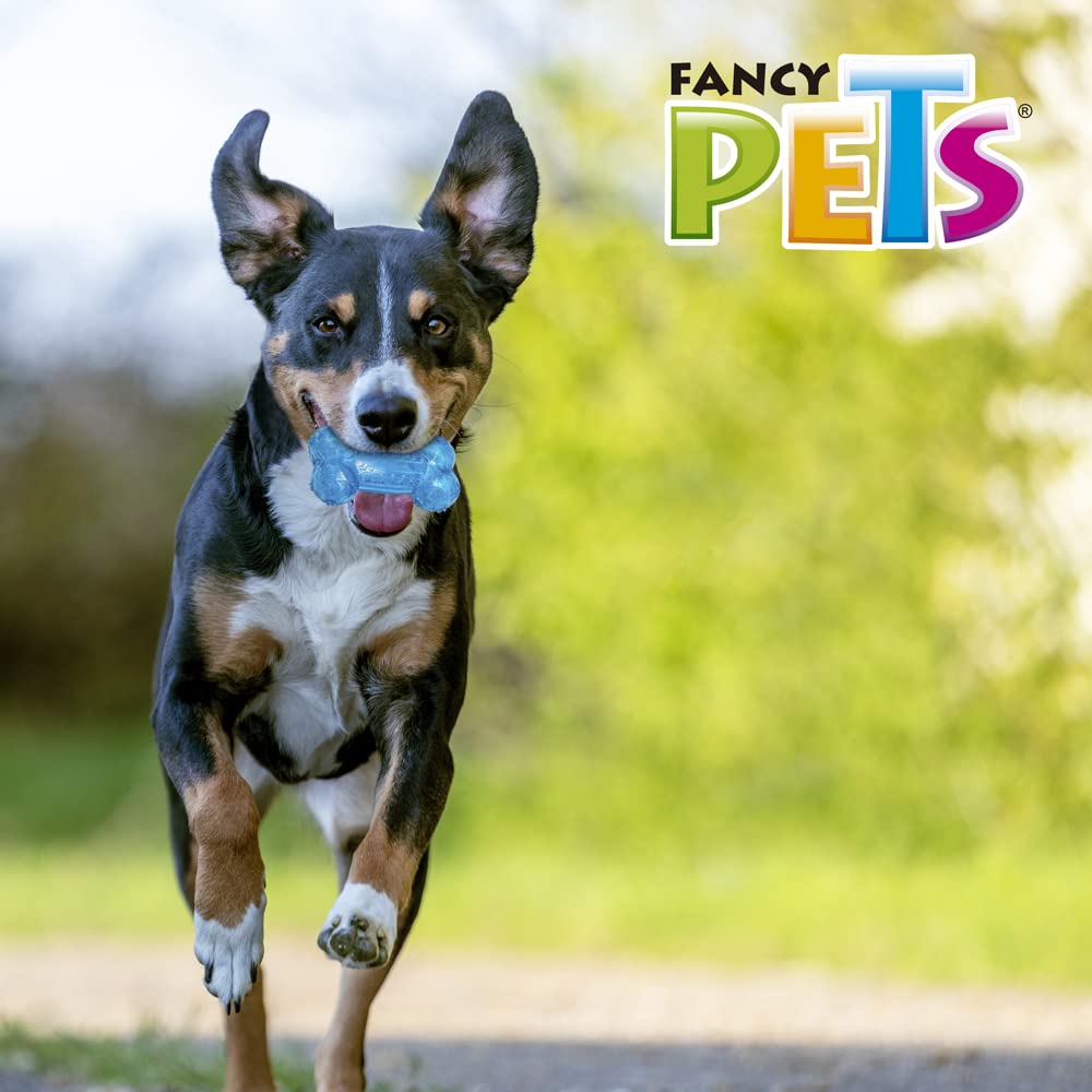 Juguete Prisma Fancy Pets Azul con Sonido Tamaño Grande para Perro