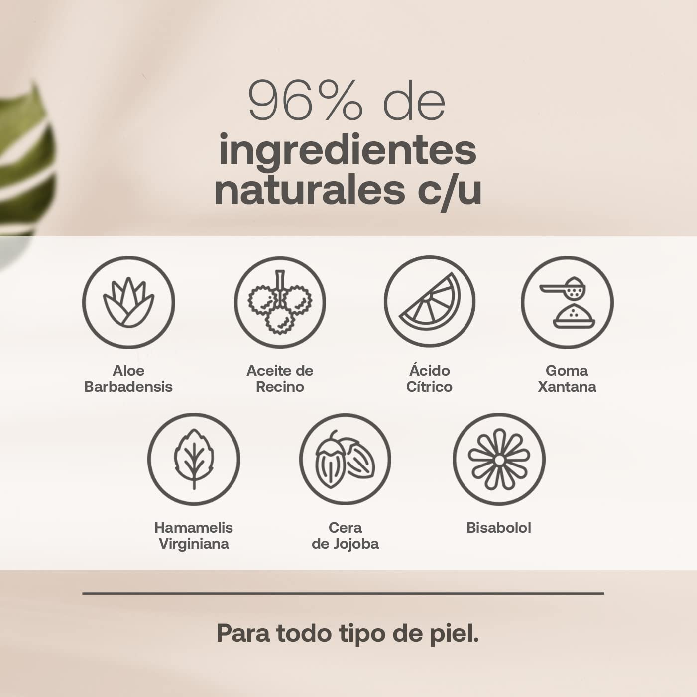 Kit de Sérum de Día y Noche para Rostro de 60 ml C/U con 96% de Ingredientes Naturales. Adicionado con Vitamina C y Ácido Hialurónico. Skincare Antiarrugas. Kit Serum B Life.