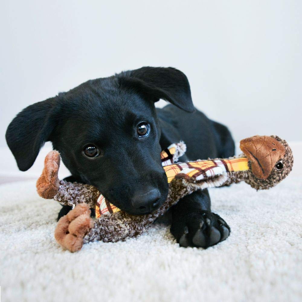 KONG Jirafa Alargada Chica: Juguete para Perro, Juguete de Animal, Naranja, Chico, Indoor, Animales, SLV33, Portable, Lightweight, Poliéster, Tug Toy, 1 unidad