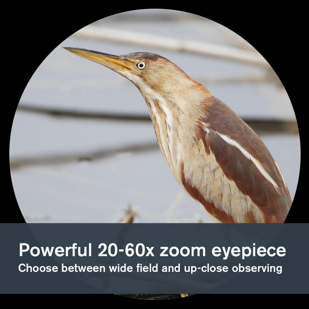 Celestron LandScout - Alcance de detección en ángulo de 80 mm - Óptica Totalmente recubierta - Ocular de Zoom 20-60x - blindado de Goma - trípode de Mesa y Adaptador para Smartphone