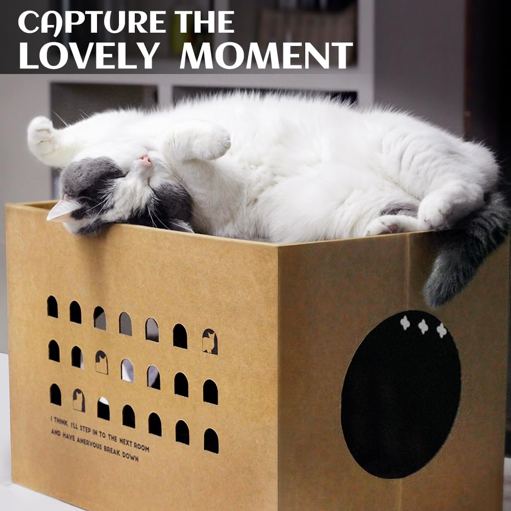 Casa de cartón para gatos con 2 almohadillas para orejas para rascar, cama grande para gatos rascadores para gatos de interior con cartón corrugado, caja rascador desmontable para gatos (Cactus)