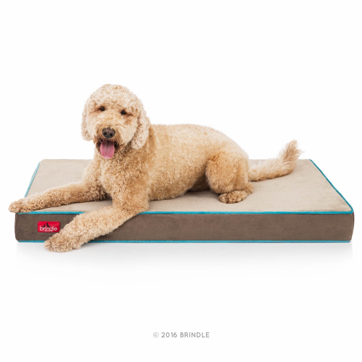Brindle Cama para Perro ortopédica de Memory Foam de 10 cm Cubierta de velvetón extraíble con Lino Impermeable, tamaño Grande, Color Azul/Moca, 117 x 71 cm