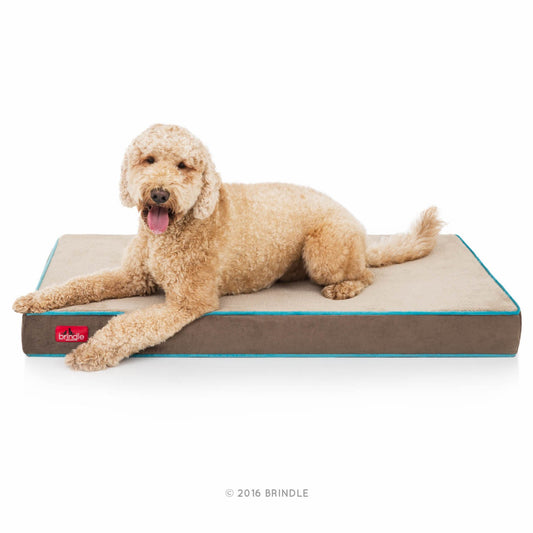 Brindle Cama para Perro ortopédica de Memory Foam de 10 cm Cubierta de velvetón extraíble con Lino Impermeable, tamaño Grande, Color Azul/Moca, 117 x 71 cm