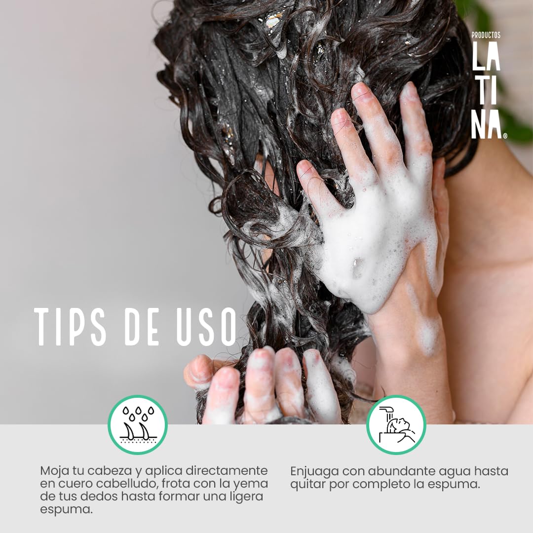 LATINA® | Shampoo Antifrizz - Sin Sulfatos y Parabenos - Anti Frizz Cabello | Belleza Mujer | Complementar con Tratamiento para Cabello Maltratado | 300ml