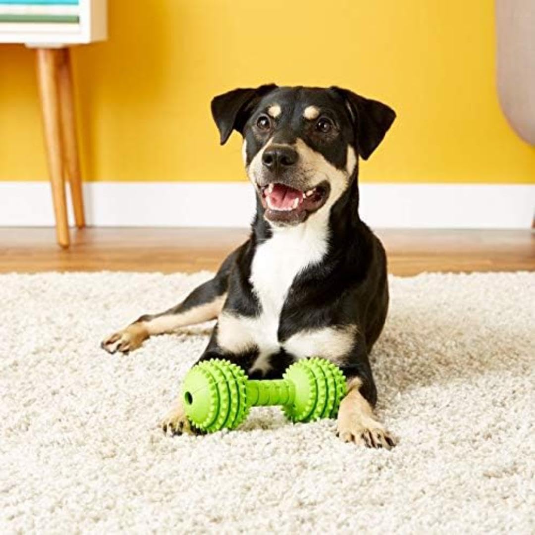 Juguete para Perro JW Pet Company Dorado y Amarillo Lightweight
