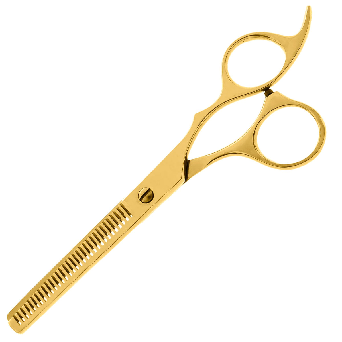 Estuche De Tijeras Para Estilista Barber Peluquero Aashta 6" (Dorado)