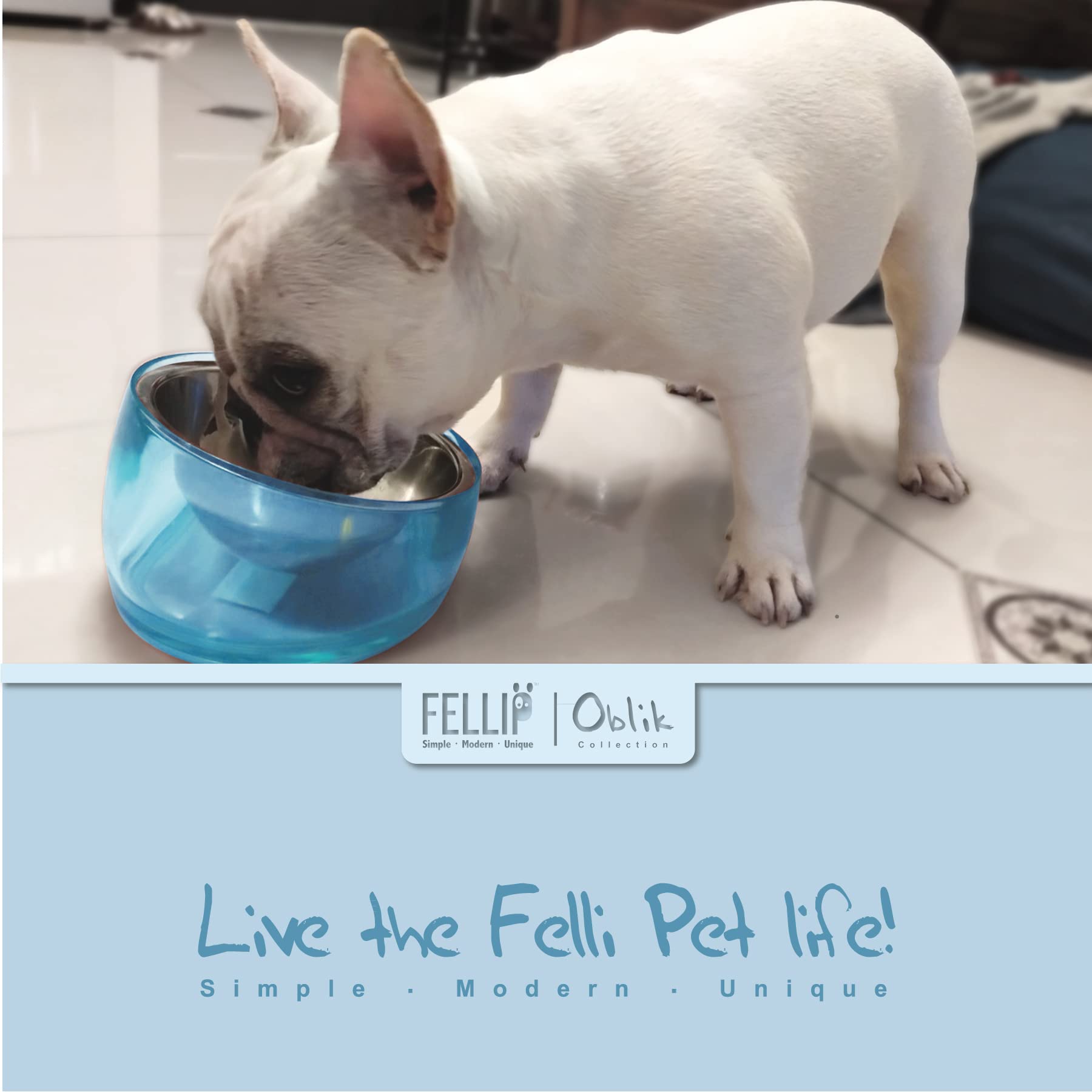 Felli Cuenco elevado para perros de acero inoxidable inclinado ovalado inclinado antivómitos, a prueba de derrames, base antideslizante de goma elevada, alimentador de metal para perros pequeños y medianos (1.5 tazas, zafiro)