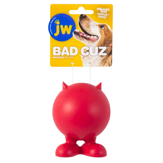 Juguete para Perro JW Pet Multicolor Mediano
