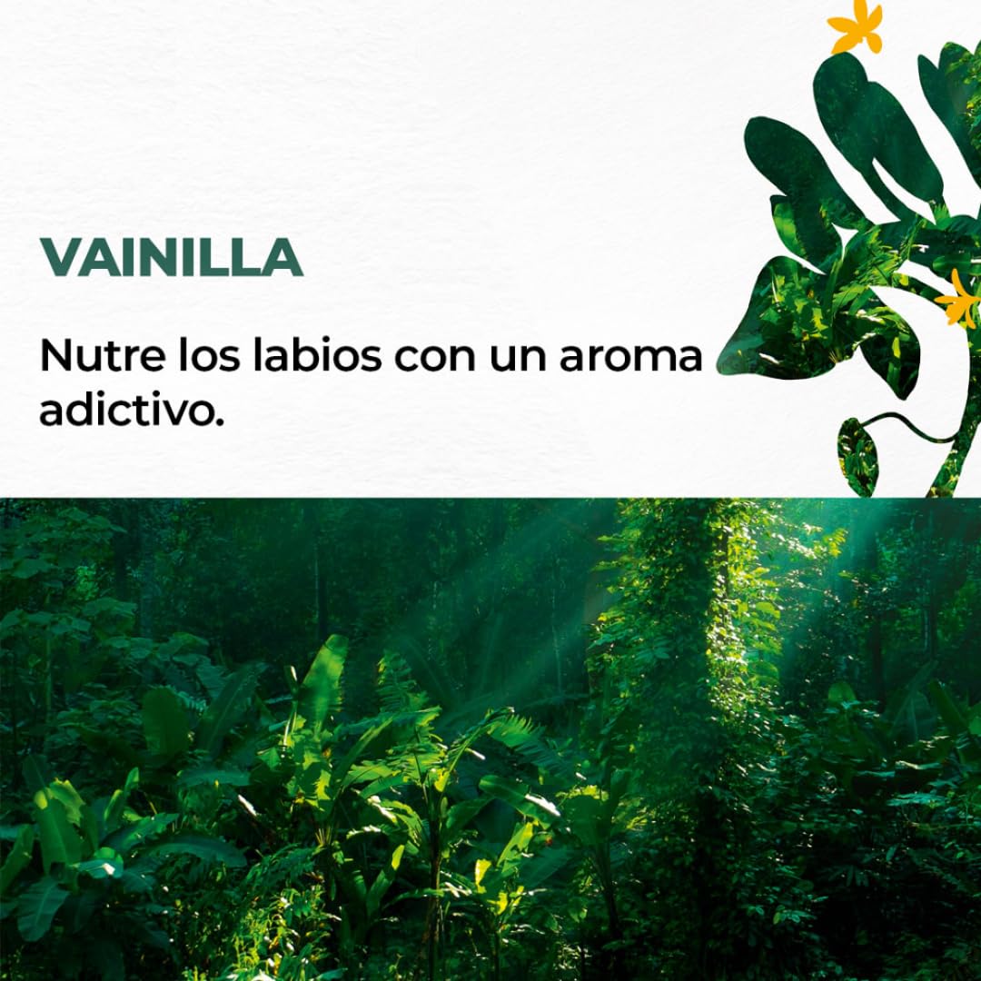 Yves Rocher 3 PACK de Bálsamos humectantes para labios, con Vitamina E y Aceites naturales, sin color: 1 Labial aroma a COCO + 1 Labial aroma KARITÉ + 1 Labial aroma Vainilla (4.8g C/U)
