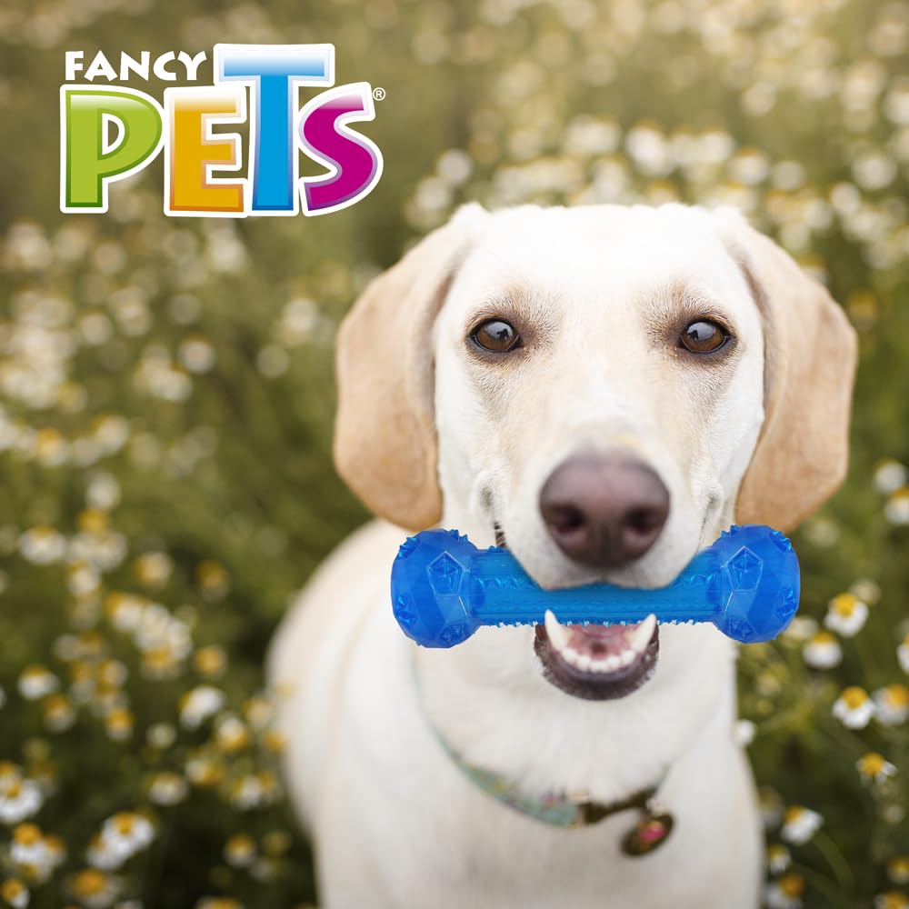 Juguete Prisma Mancuerna Fancy Pets Azul con Sonido para Perro Tamaño Grande