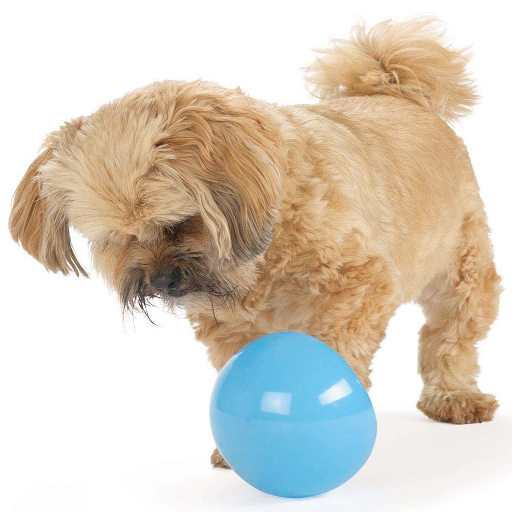 Juguete Dispensador de Premios Planet Dog Orbee-Tuff Azul 12.7 cm para Mascotas