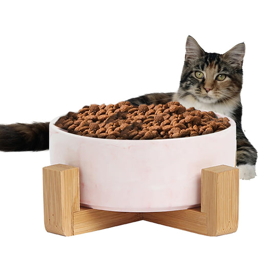 CHENGBAO Plato para Perro y Gato de Cerámica Marmolizada con Base de Estabilizadora (Rosa 1)