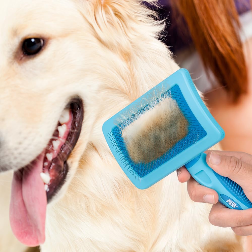 Carda Fancypets Extra Grande Azul para Perro