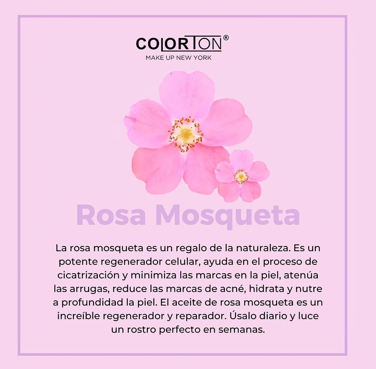 Kit 2 Super Serum Reparador The Cocktail By Gaero Shop | Colorten | 30 ml | Baba de Caracol, Rosa Mosqueta, Hialuronico, Colágeno y Elastina