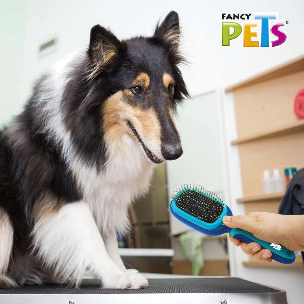 Fancy Pets Cepillo Multifuncional 5 en 1 para Perro Color Azul