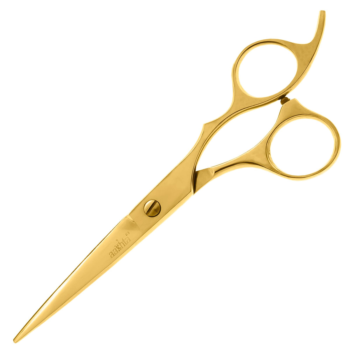 Estuche De Tijeras Para Estilista Barber Peluquero Aashta 6" (Dorado)
