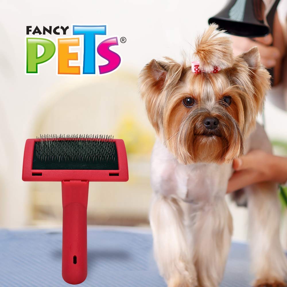 Fancy Pets Carda Expert para Perro y Gato Tamaño Chico