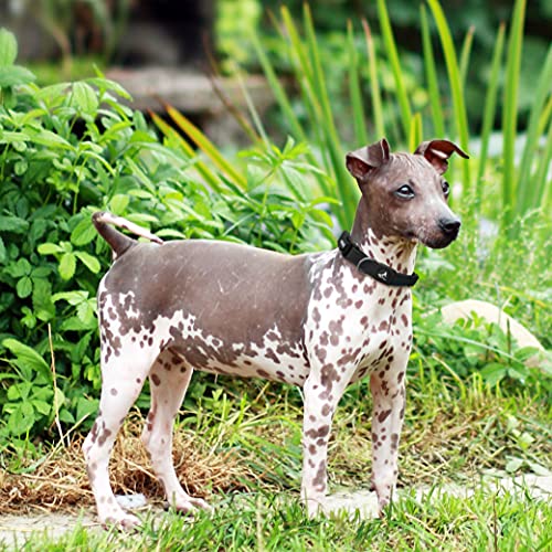 KRUZ PET KZA102-18S Collar de Malla para Perros pequeños, medianos y Grandes, Cuello de Cuello Ajustable, Suave, Ligero, Transpirable, Ajuste cómodo, Rosa Frambuesa, S