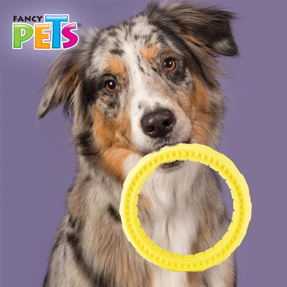 Fancy Pets Juguete Chew Aro Masticable para Perro Tamaño Chico