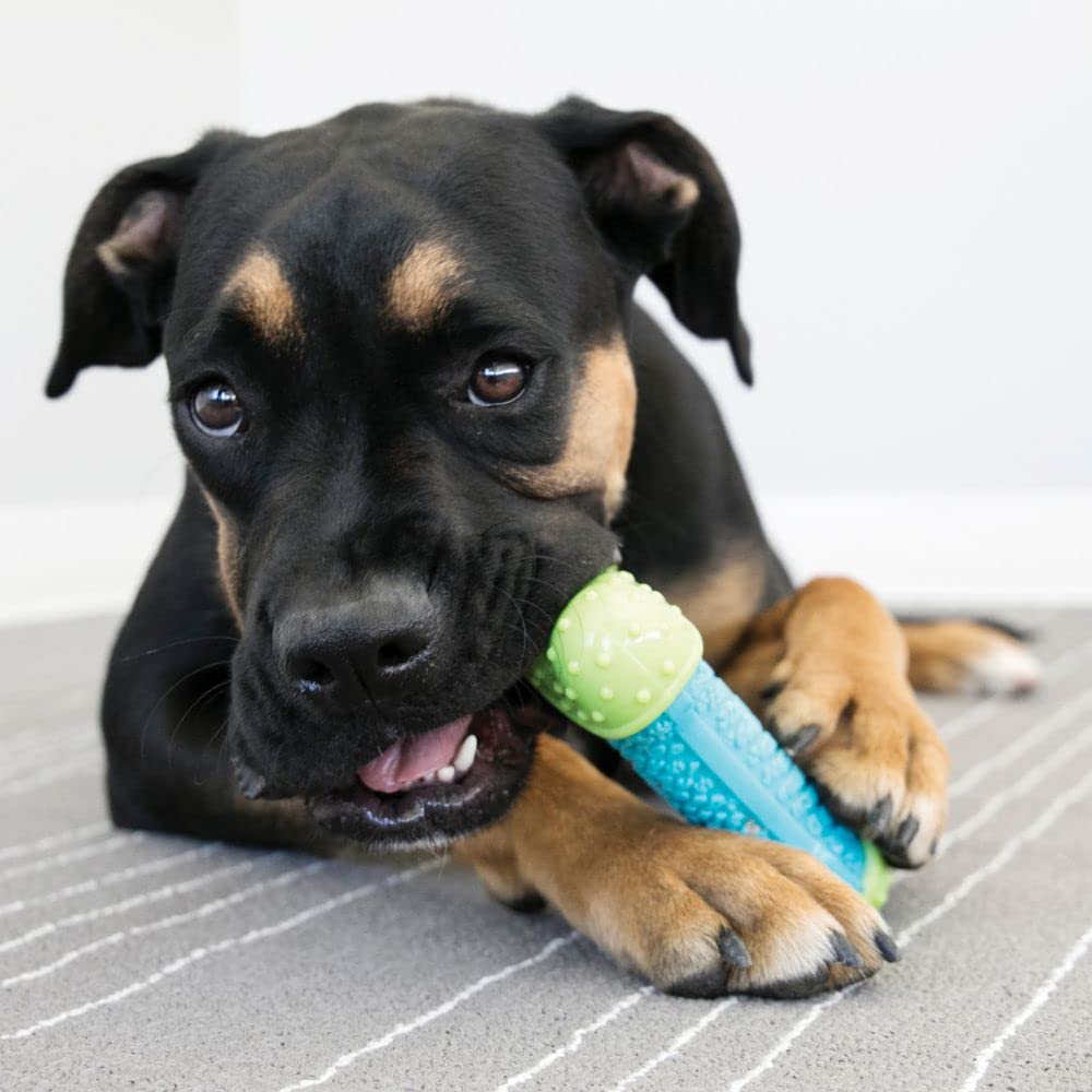 Kong Corestrength Bone, color Azul con Verde, Chico/Mediano