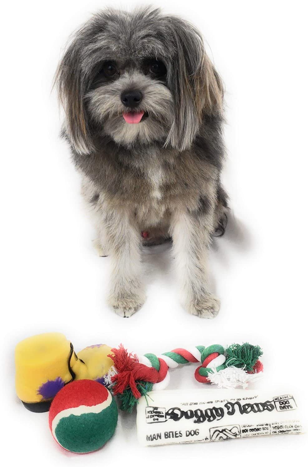 Calcetín Navideño para Perros Sub-Gift