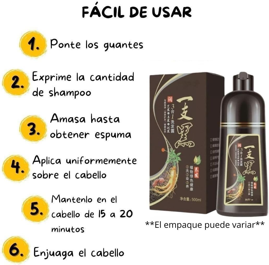 Shampoo Tinte Instantaneo Para Cabello Cubre Canas Natural Jengibre 500Ml - Champú Instant Hair Color Para Teñir El Cabello 3 En 1 Coloración Al Instante Con Hierbas Unisex, Para Hombre y Mujer (Castaño, 650ML)