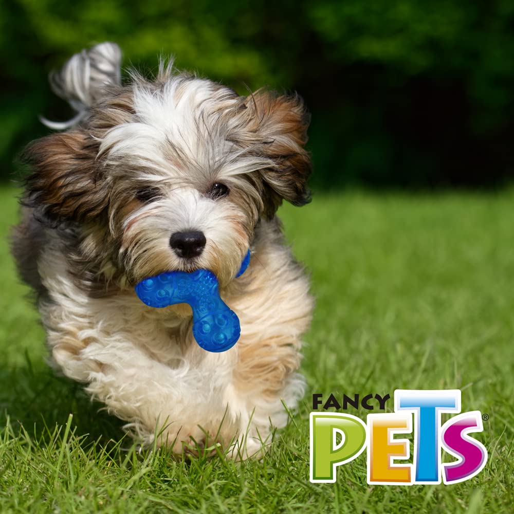 Juguete Satélite Sound Fancy Pets Chico para Perro