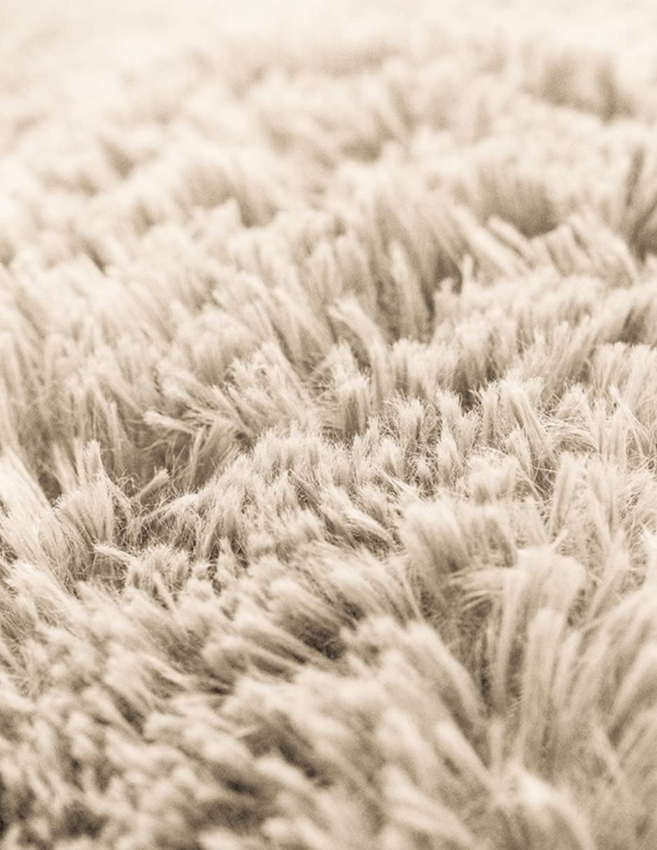 Cama para Perros PET TO BED Beige Antiestrés Redonda Esponjosa Large