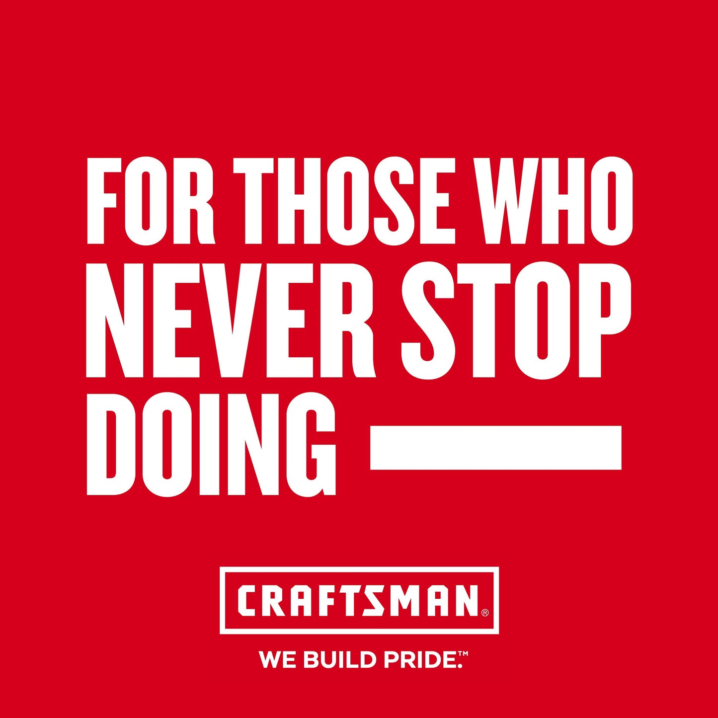 CRAFTSMAN CMMT98334 - Kit de extracción de molduras CRFT, Color Rojo