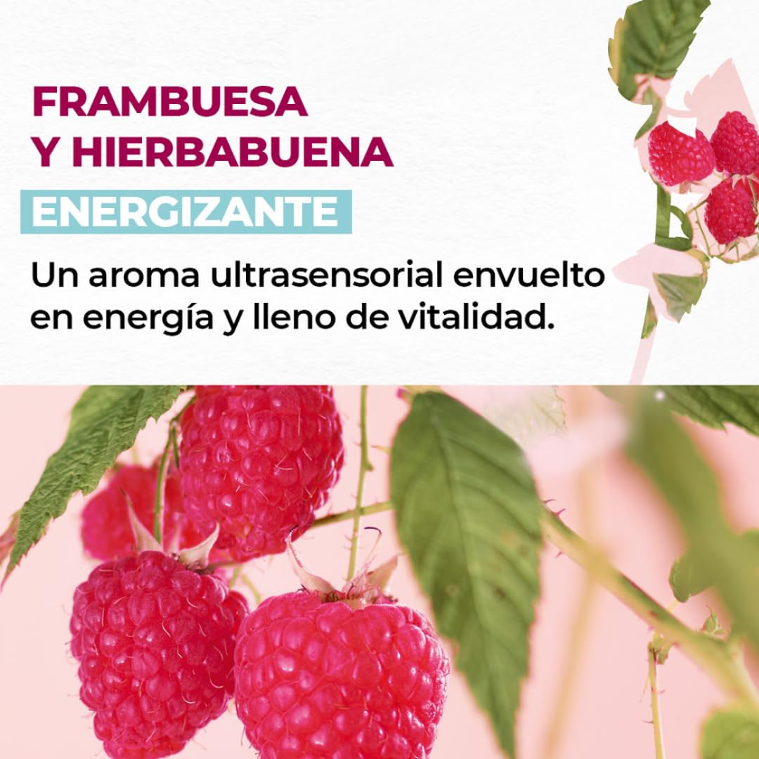 Yves Rocher 4 PACK jabón líquido para manos aromas ENERGIZANTES - ESTIMULANTES: Alga Slavaje + Mango y Cilantro + Frambuesa y Hierbabuena + Flor silvestre (190 ml C/U)