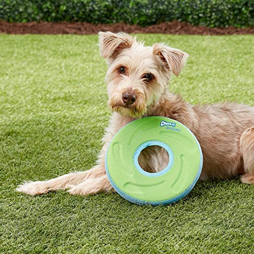Chuckit! Zipflight Flyer - Frisbee para Perro y Juguete para Perro Que Flota; Suave con los Dientes y Las encías del Perro; Mediano
