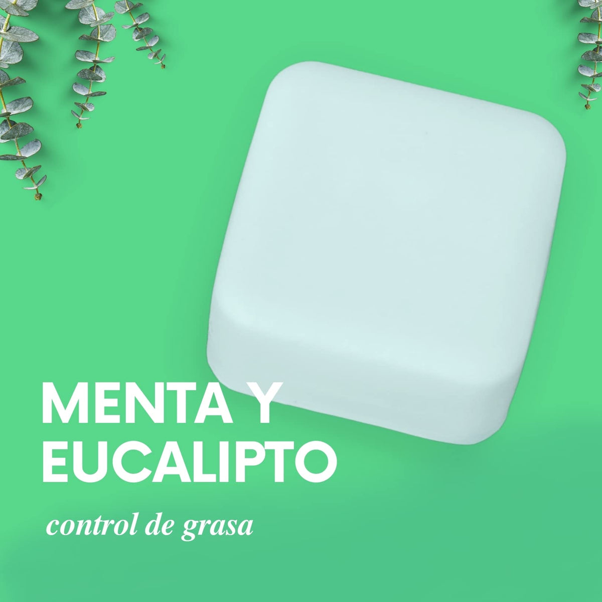 MU&ME Acondicionador Solido para el Crecimiento y Contol Caída - Acondicionador Sin Sulfatos y Parabenos con Menta & Eucalipto para el Cabello - Hecho en Mexico (Menta & Eucalipto) (140gr)