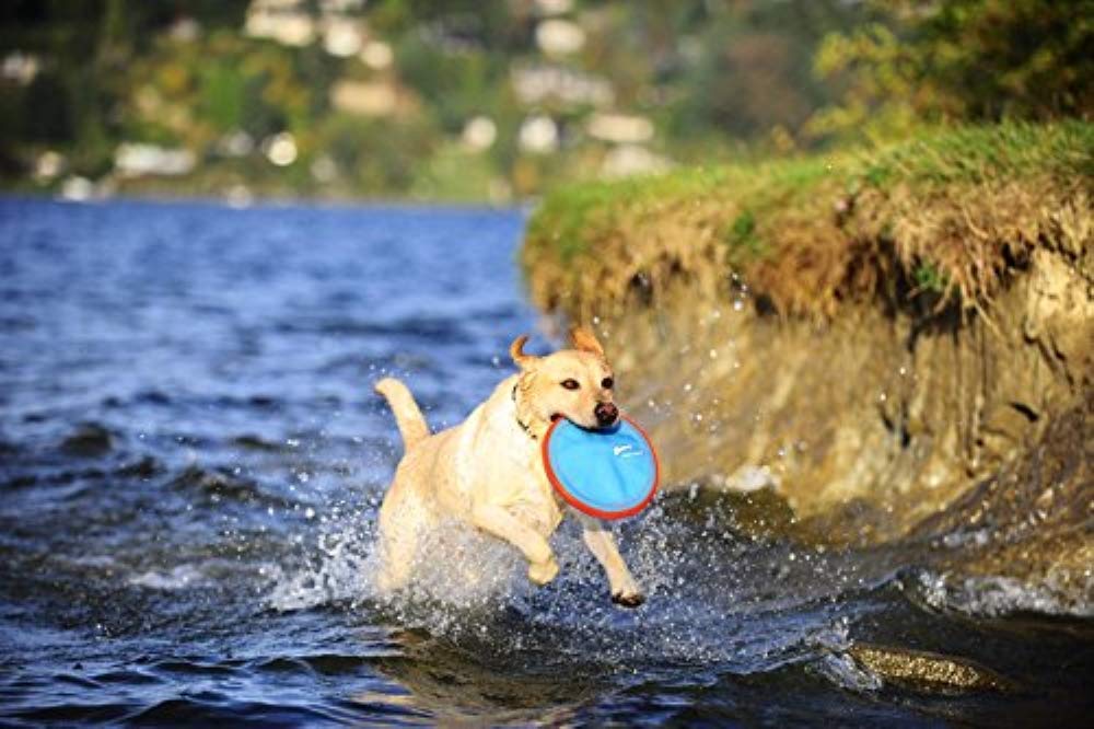Juguete Paraflight para Perro Grande 3 Piezas