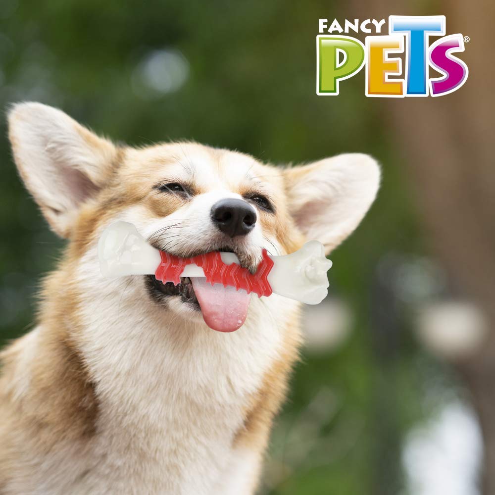 Fancy Pets Juguete Dental en Forma de Fémur Sabor Tocino para Perro Tamaño Chico