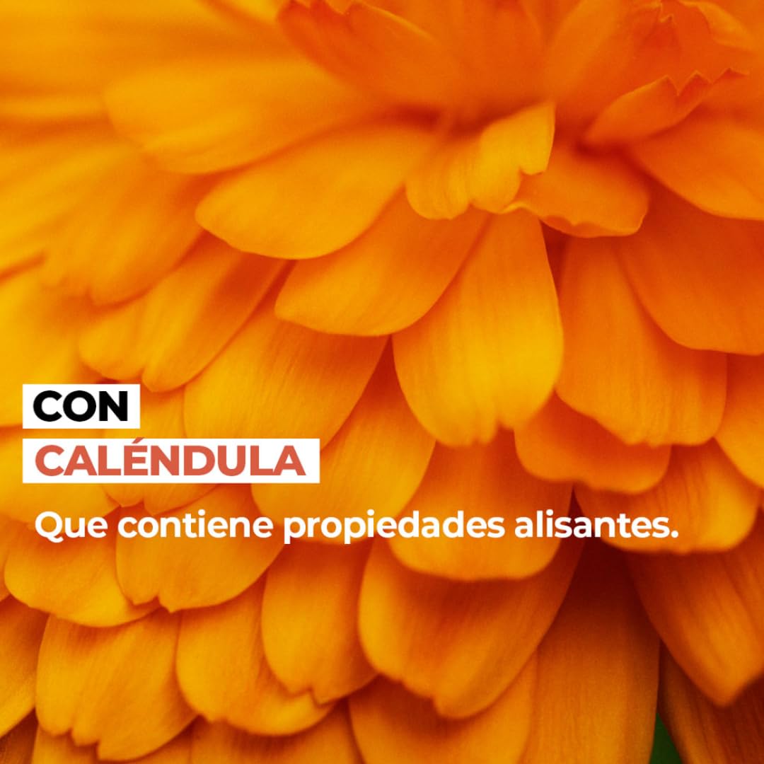 Yves Rocher Set PURE CALENDULA: Loción Facial Alisante (200 ml) + Crema Facial Día/Noche Regeneradora (50 ml)