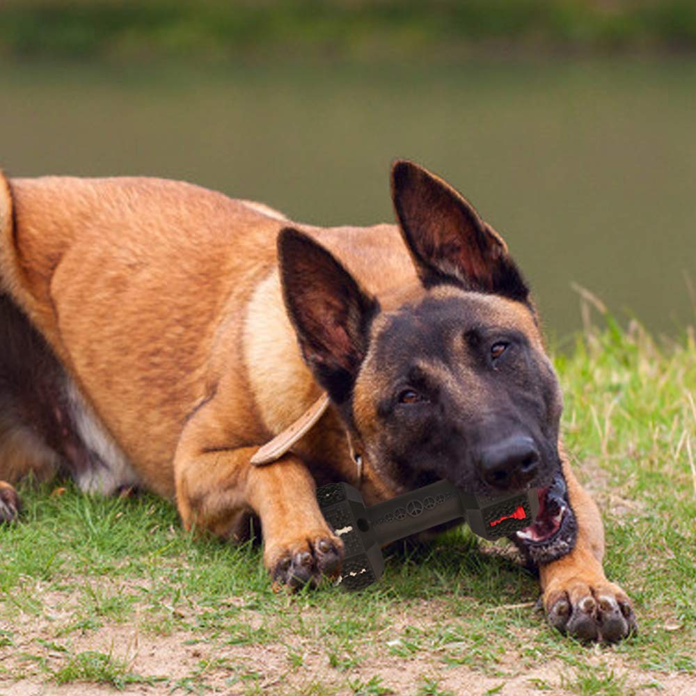 Hswaye - Juguetes para masticar para perros agresivos, grado alimenticio, no tóxico, juguete dental para mascotas, resistente, duradero, indestructible, para perros pequeños, medianos y grandes, color negro