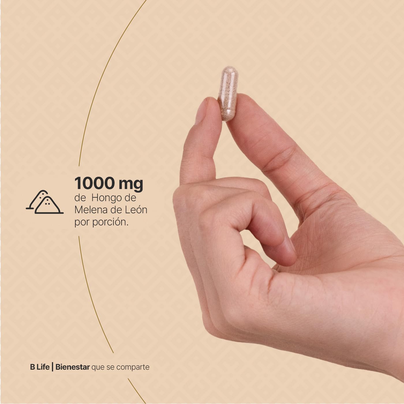Hongo Melena de León | 100% Orgánico 1000 mg por porción. Adaptógeno Natural. 180 Cápsulas. Organic Lions Mane B Life.