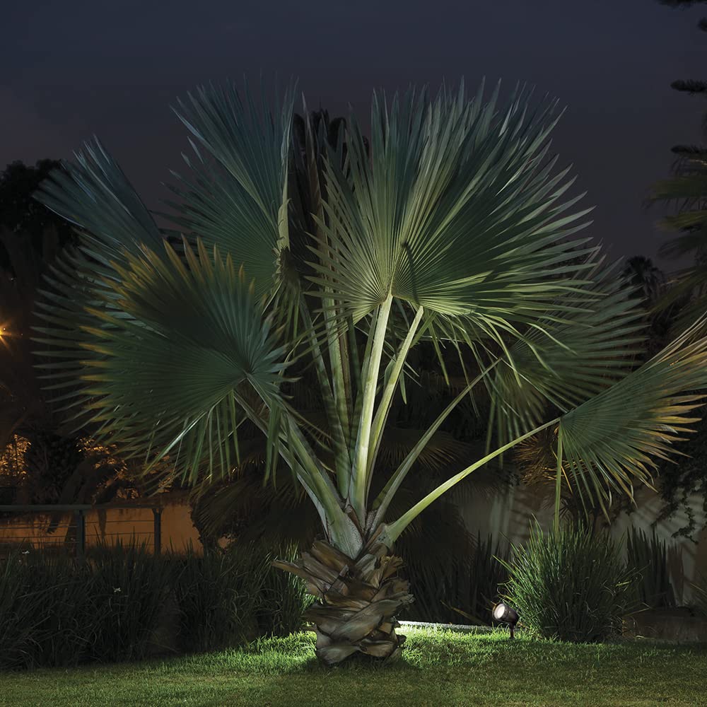 Luminario Proyector Tecnolite Conico H-780/CF