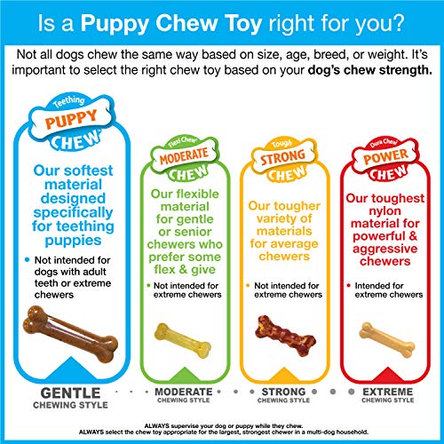 Hueso Nylabone NTG203P Puppy Verde Double Action Regular
