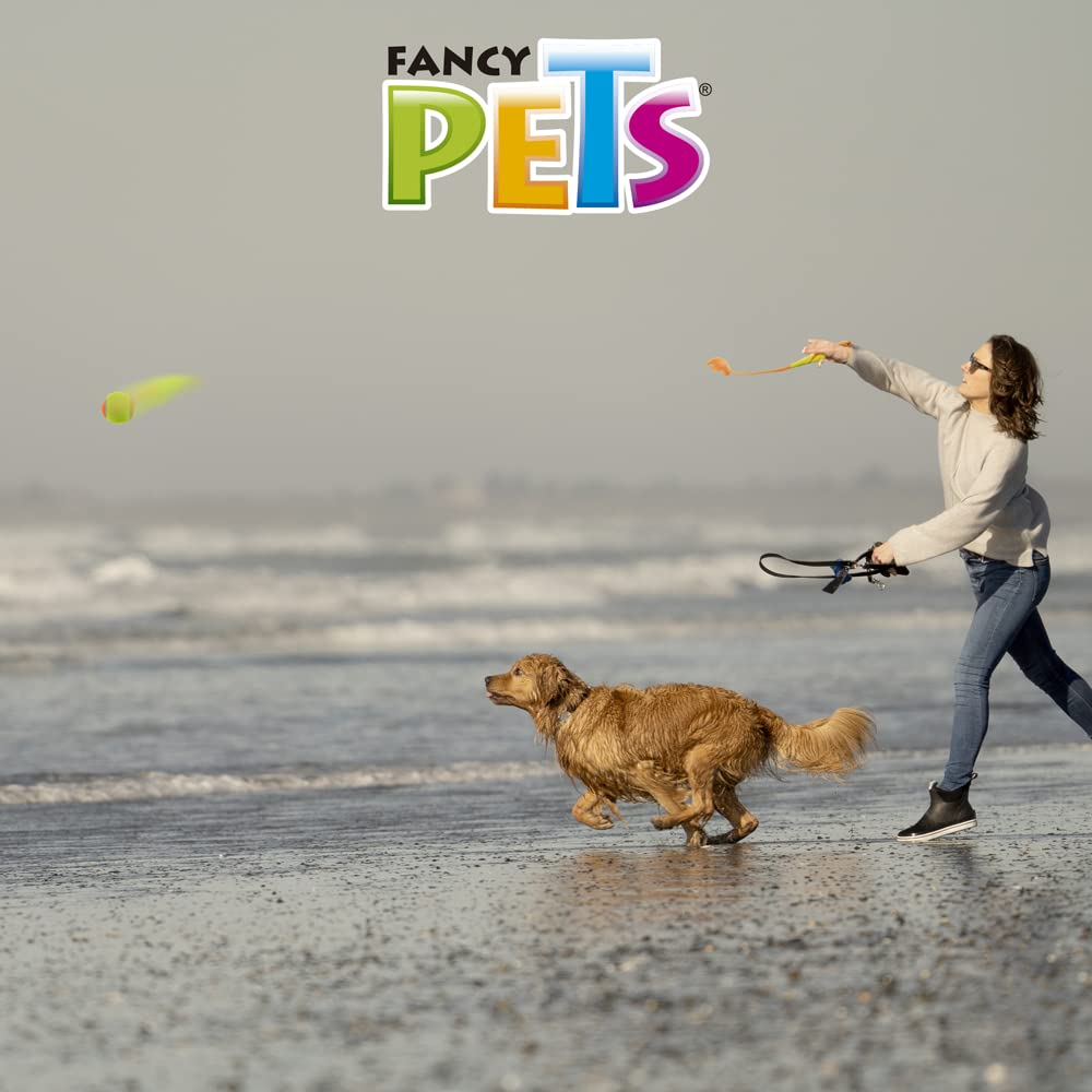 Juguete Lanzador de Pelota Fancy Pets Chico para Perro