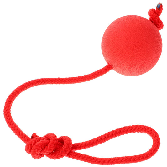 Ipetboom Cuerda y Bolas para Perros - Equipo De Entrenamiento De Agilidad, Tira y Afloja, Deportes y Pelota De Entrenamiento