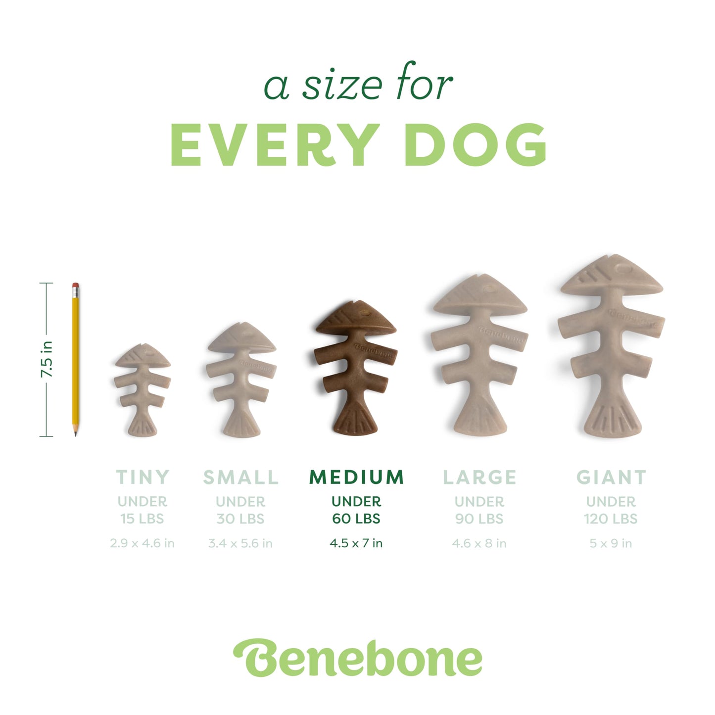 Juguete masticable para Perro con Sabor Real a salmón Fishbone Mediano
