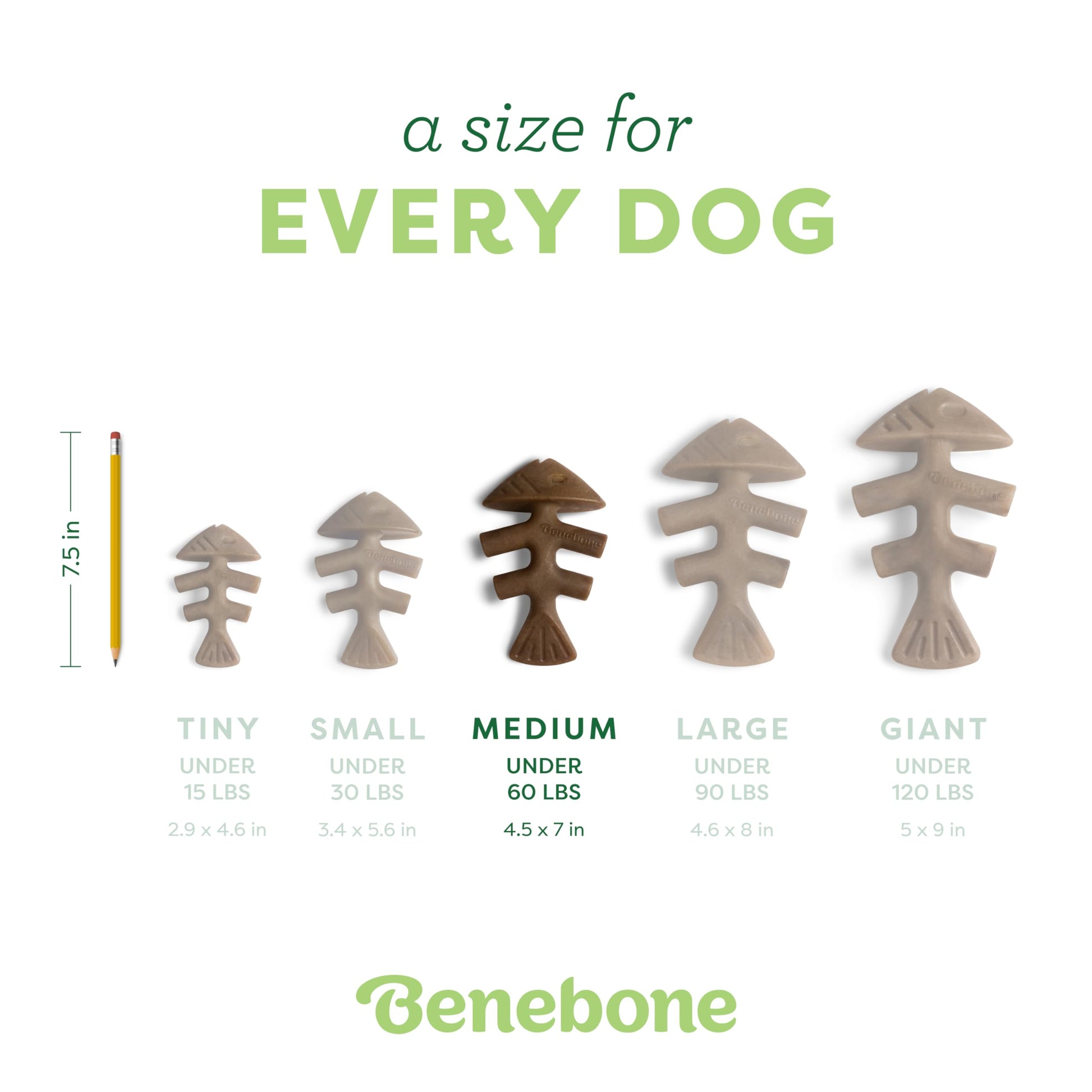 Juguete masticable para Perro con Sabor Real a salmón Fishbone Mediano