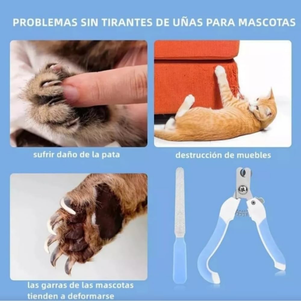 EDECOR Cepillo para Perros y Gatos, 2 en 1 Deslanador para Perro, Cepillo para Mascotas Quita Pelo, Peine Rastrillo para Perros para Eliminar Nudos y Enredos, Peine para Perros y Gatos de Pelo Corto o Largo (Azul)