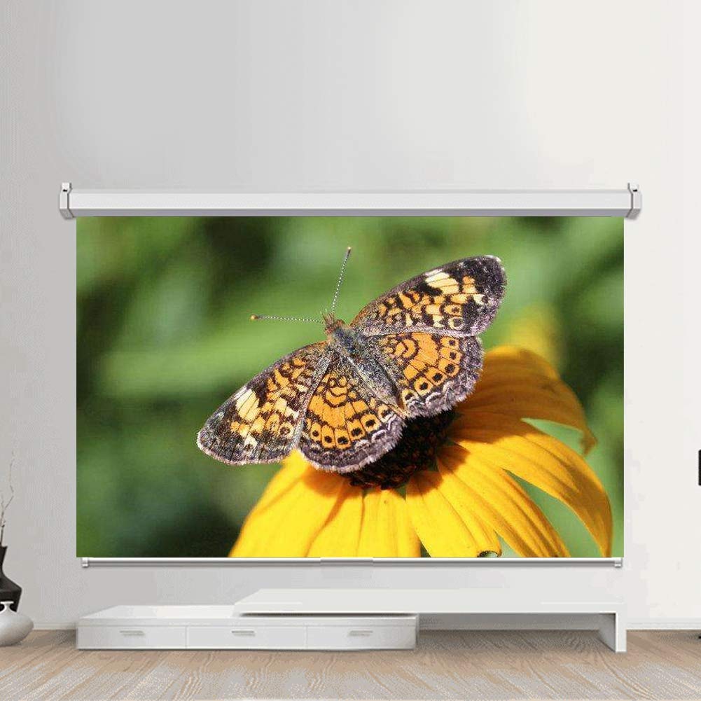 Bewinner 100 Pulgadas Pantalla de Proyector Pantalla de Proyector HD 16: 9 Película 3D Pantalla de Proyección Portátil Plegable para Películas de Cine en Casa, Capacitación en el Aula 100inch