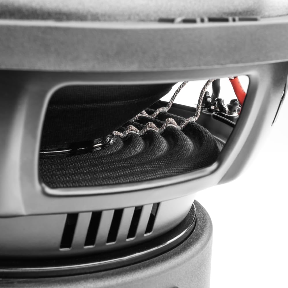 NVX VSW102v3 - Subwoofer Dual de 2 ohmios (versión 3) de 1200 W de Pico (600 W RMS) de 10 Pulgadas VS-Series v3