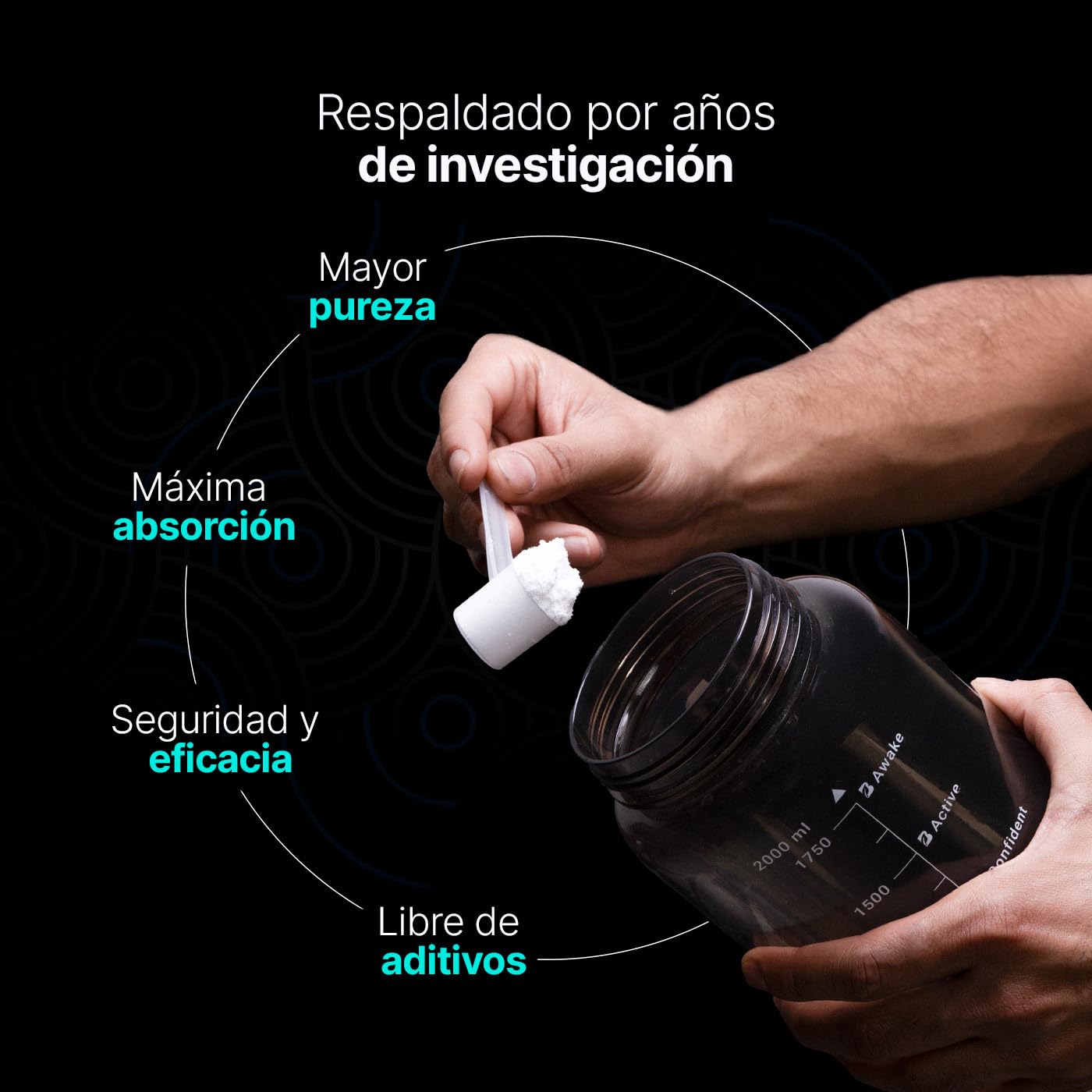 B Life Creatina Monohidratada 310 g en polvo | 62 Servicios | 5 g por porción | Alta Pureza | Creatine Monohydrate.