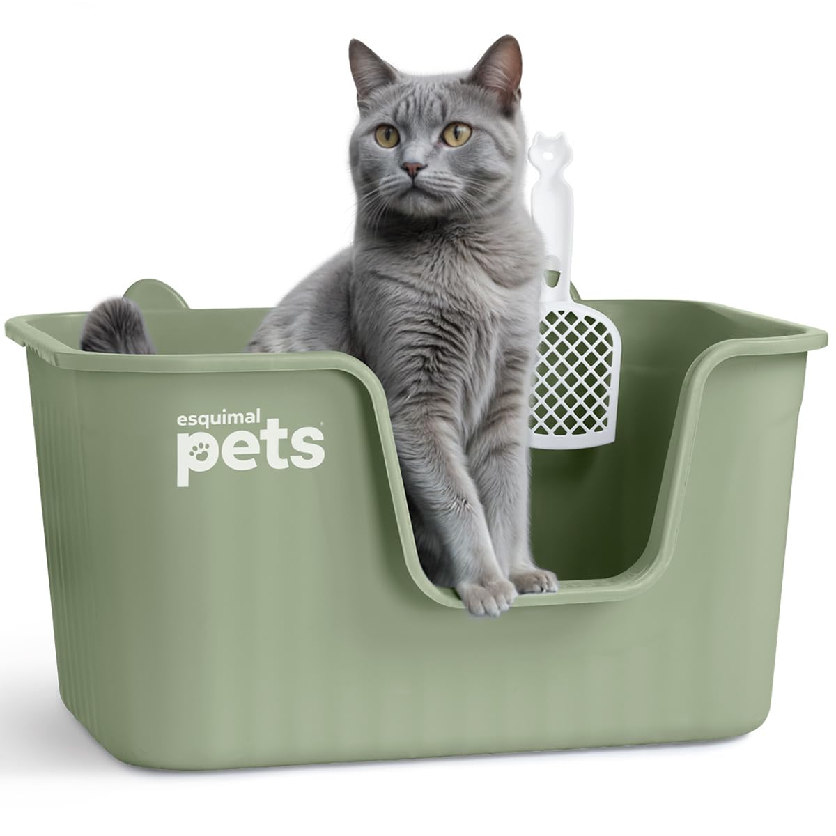Arenero ESQUIMAL Verde con Paredes Altas y Pala para Gato