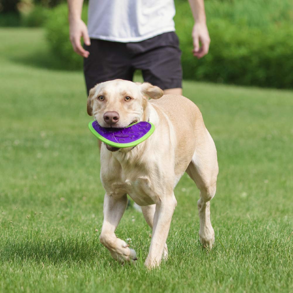 Hero Outer Armor, Boomerang Fetch Disc Dog Toy, Floats & Squeaks, Blue